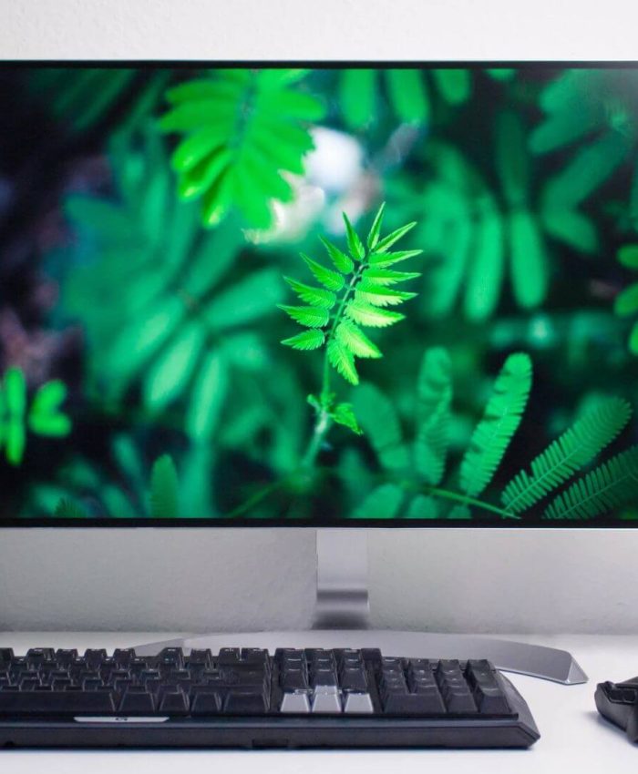 Beyond the Big Names: Unearthing Opportunities in Niche Industries